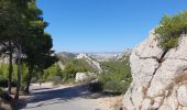 Tocht Stappen Marseille - Calanque Sormiou - Photo 7