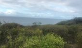 Trail Nordic walking Sainte-Anne - Fond grand ma  modette le littoral  - Photo 10