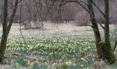 Trail Walking Monschau - Kalterherberg - rocher du Bieley - Photo 4