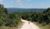 Randonnée Marche Goudargues - boucle au départ du Saint Michelet  - Photo 2