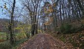 Randonnée Marche Eupen - A la découverte d'Eupen 🥾 - Photo 14