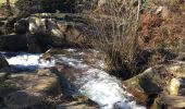 Tocht Mountainbike Saint-Denis - Lac de Saint Denis , la goutarende, la galobe  - Photo 2