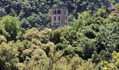 Randonnée Marche Casteil - Gorges du Cady Abbaye St Martin_T - Photo 9