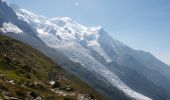 Trail Walking Chamonix-Mont-Blanc - La Gare des Glaciers - Plan de l'Aiguille - Photo 12