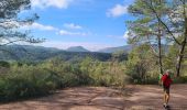 Trail Walking Bagnols-en-Forêt - Lac du Rioutard - Photo 1