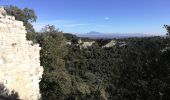 Trail Walking Saint-Restitut - St Restitut - Château du Barry - village troglodyte - Photo 6