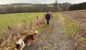 Tour Wandern Neufchâteau - Bois d’Ospau avec Nafi - Photo 7