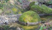 Tour Zu Fuß Adlwang - Waldlehrpfad Hallerwald - Photo 1