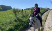 Trail Horseback riding Neufchâteau - Cousteumont Ospau - Photo 5