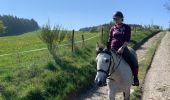 Tour Reiten Neufchâteau - Cousteumont Ospau - Photo 5