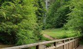 Tour Wandern Saint-Claude - la cascade de la queue de  cheval  - Photo 5