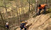 Excursión Senderismo Braine-Le-Comte - Bois de la Houssiere - Photo 2