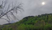 Randonnée Marche Stoumont - stoumont :  aller via corniche , retour via amblève - Photo 4