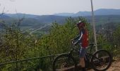 Trail Mountain bike Mutzig - vttae ermelforst - Photo 2