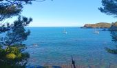 Trail Walking Port-Vendres - paullile - Cap bear via la mer retour via les vignes  - Photo 2