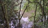 Randonnée Marche Bouziès - Étape 4 Bouziès  Les Mazuts  - Photo 14