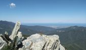 Trail Walking Campile - Boucle de Monte Castellare - Photo 9