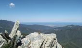 Tour Wandern Campile - Boucle de Monte Castellare - Photo 9