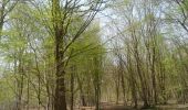 Trail Walking Houppeville - 20220412-La Breteque - Photo 18