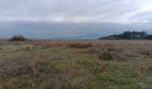 Randonnée Marche Argelès-sur-Mer - mas larrieu dans la tourmente automnale   - Photo 11