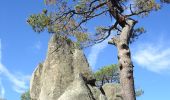 Percorso A piedi Guadarrama - [SL-M 44007] En busca del agua - Photo 3