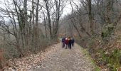 Trail Walking Mesplède - MESPLEDE le jour de Mesplede - Photo 9