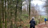 Trail Walking Libin - Libin - Photo 2