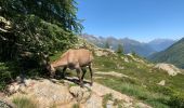 Randonnée Marche Chamonix-Mont-Blanc - Mont blancs  - Photo 9