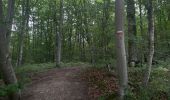 Trail Walking Compiègne - Randonnée en Forêt de Compiègne_51_le Mont du Tremble et les Beaux Monts - Photo 18