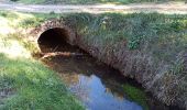 Tour Wandern Le Thoronet - Le Thoronet- Canal de Ste Croix - Argens - Photo 6