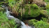 Tour Wandern Grendelbruch - Tour du petit Rosskopf & piton du Falkenstein - Photo 11