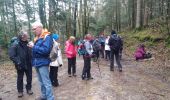 Tocht Stappen Masevaux-Niederbruck - randonnée CVG Seigneurie aller - Photo 1