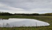 Randonnée Marche Camiers - Baie de Canches et retour par la mer - Photo 7