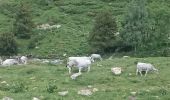 Tour Wandern Eyne - Col de Nuria par vallée d'EYNE - Photo 1