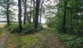 Trail Walking Marray - Marray - Les versants de la Dême - Photo 18