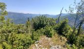 Tocht Stappen Saint-Martin-en-Vercors - Rocher de l'Allier - Photo 1