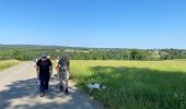 Tour Wandern Tenneville - Journal - Photo 20