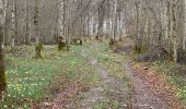 Trail Walking Rochefort - Han sur Lesse 21,4. Km - Photo 5