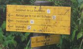 Trail On foot Saint-Claude - La Soufrière et le retour par le Col de l'Échelle - Photo 14