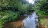 Tour Wandern Paliseul - jelly avec marraine tonton  - Photo 7