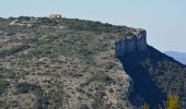 Randonnée Marche Tourves - Tourves- Le Saut du Cabri - Les gorges du Caramy - Photo 8