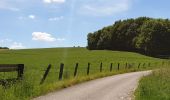 Tour Elektrofahrrad Ronse - Renaix - Ferme Dôrloû à Wodecq - Photo 20