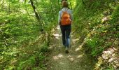 Trail Walking Saou - foret saou - Photo 1