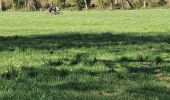 Trail On foot Anthisnes - Autour de Hestreux et Limont - Photo 1