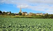 Trail Walking Le Minihic-sur-Rance - Autour de Le Minihic sur Rance - Photo 3