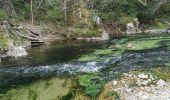 Trail Walking Barjols - ste madeleine  - Photo 15