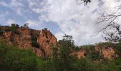 Excursión Senderismo Roquebrune-sur-Argens - Blavet selon François  - Photo 11