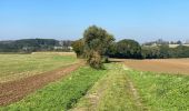 Tour Wandern Jodoigne - Jodoigne 22 km - Photo 8