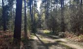 Trail Walking Oud-Heverlee - petit tour'tje autour de la caserne d Heverlee  - Photo 4