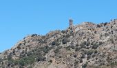 Tour Wandern Banyuls-sur-Mer - 22 08 / 8-9-10 Oli40 - épisode 1 - Photo 19